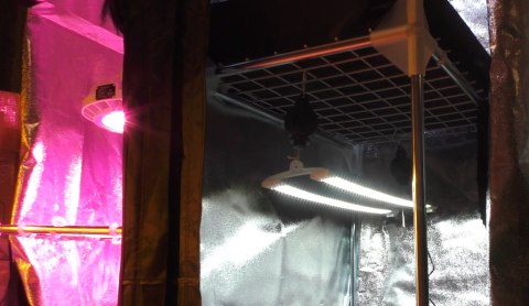 SECRET JARDIN COSMORROW ZASILACZ DO LED 2*40W SECRET JARDIN COSMORROW ZASILACZ DO LED 2*40W
