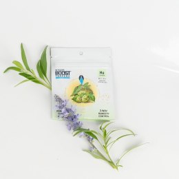 INTEGRA BOOST TERPENY HUMULENE 4G 62%