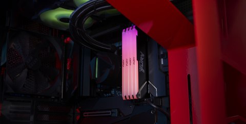 KINGSTON DDR4 32GB 3200MT/s CL16 DIMM (Kit of 2) FURY Beast RGB KINGSTON DDR4 32GB 3200MT/s CL16 DIMM (Kit of 2) FURY Beast RGB