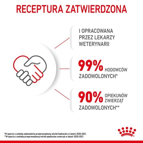 Royal Canin FHN Kitten Instinctive w galaretce - mokra karma dla kociąt - 12x85g Royal Canin FHN Kitten Instinctive w galaretce - mokra karma dla kociąt - 12x85g