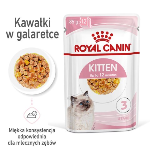 Royal Canin FHN Kitten Instinctive w galaretce - mokra karma dla kociąt - 12x85g Royal Canin FHN Kitten Instinctive w galaretce - mokra karma dla kociąt - 12x85g