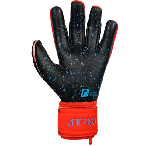 Rękawice bramkarskie Reusch Attrakt Attrakt Freegel Fusion Goaliator M 53 70 995 3333 Rękawice bramkarskie Reusch Attrakt Attrakt Freegel Fusion Goaliator M 53 70 995 3333
