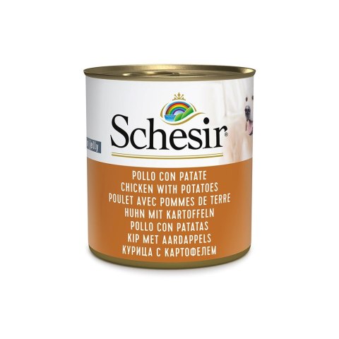 SCHESIR Adult Kurczak z ziemniakami 285g SCHESIR Adult Kurczak z ziemniakami 285g