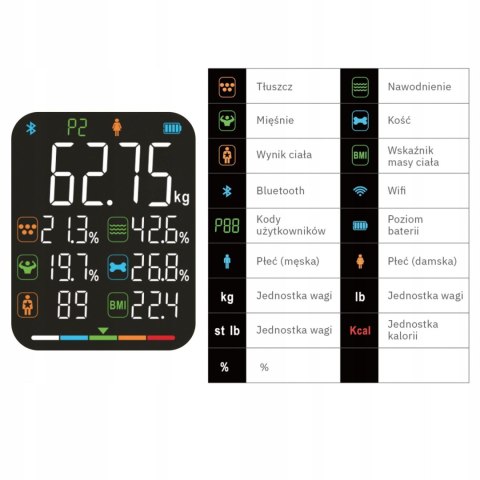 Waga łazienkowa analityczna 15 parametrów Apple Health Google Fit SCALA WEBBER Waga łazienkowa analityczna 15 parametrów Apple Health Google Fit SCALA WEBBER