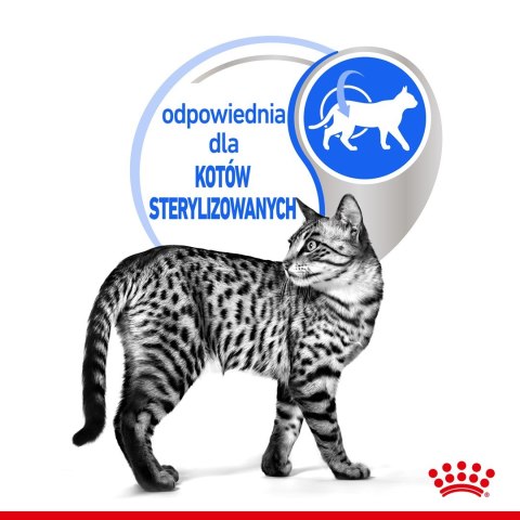 ROYAL CANIN FHN Indoor w galaretce - mokra karma dla kota dorosłego - 12x85 g ROYAL CANIN FHN Indoor w galaretce - mokra karma dla kota dorosłego - 12x85 g