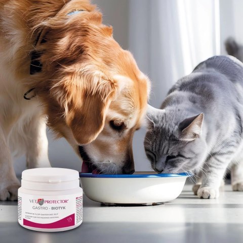JM SANTE VET PROTECTOR GASTRO BIOTYK biegunka wzdęcia zaparcia alergie pokarmowe 60g JM SANTE VET PROTECTOR GASTRO BIOTYK biegunka wzdęcia zaparcia alergie pokarmowe 60g