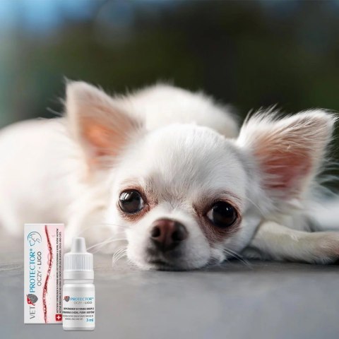 JM SANTE VET PROTECTOR OCZY LIGO krople do oczu 3ml JM SANTE VET PROTECTOR OCZY LIGO krople do oczu 3ml