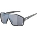 Okulary ALPINA BONFIRE kolor MIDNIGHT-GREY MATT szkło BLACK MIRROR Cat.3 FOGSTOP