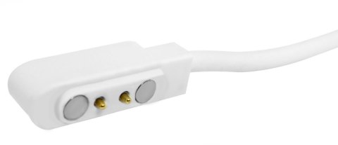 Kabel ładujący do Smartwatcha GIEWONT Dynamic GW230 GW300 GWK6 Kabel ładujący do Smartwatcha GIEWONT Dynamic GW230 GW300 GWK6