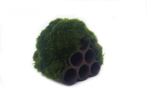 Gałęzatka Na Rurkobloczku Mikro 6-Rurek 40x40x40cm Naturalna Ozdoba Gałęzatka Na Rurkobloczku Mikro 6-Rurek 40x40x40cm Naturalna Ozdoba