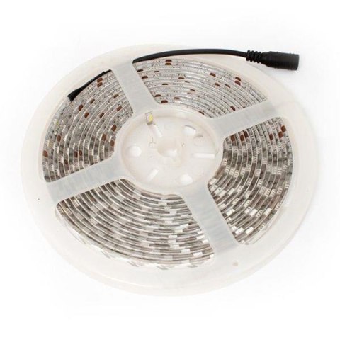 Taśma LED-5050 Abilite b.zimna 300LED 12V IP65 5m/10mm silikon Taśma LED-5050 Abilite b.zimna 300LED 12V IP65 5m/10mm silikon