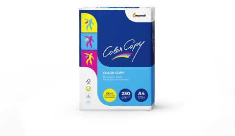 Papier Xero Igepa Laser Color Copy 8687A25 (A4; 250g/m2; 125 szt.; Satynowy) Papier Xero Igepa Laser Color Copy 8687A25 (A4; 250g/m2; 125 szt.; Satynowy)