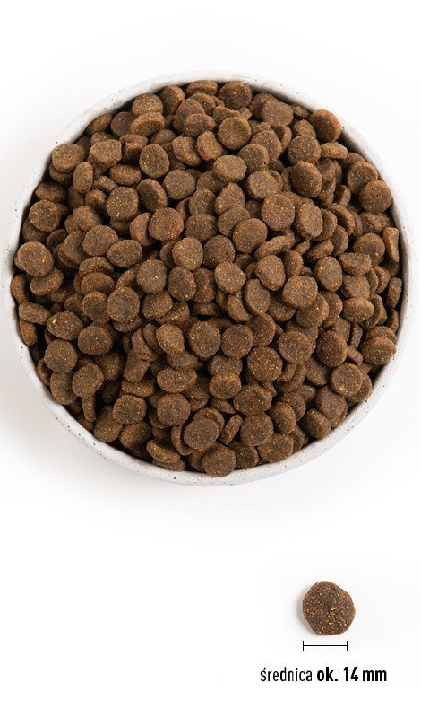 ACANA Singles Grass-fed Lamb - sucha karma dla psa - 11,4 kg ACANA Singles Grass-fed Lamb - sucha karma dla psa - 11,4 kg