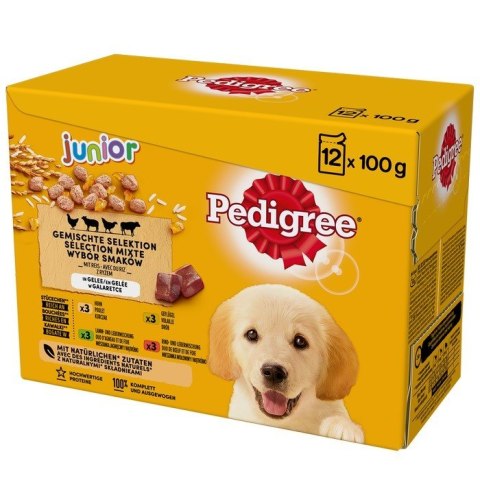 PEDIGREE Junior Wybór smaków w galaretce - mokra karma dla psa - 12x100 g PEDIGREE Junior Wybór smaków w galaretce - mokra karma dla psa - 12x100 g