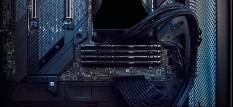 KINGSTON DDR5 32GB 6000MT/s CL36 DIMM (Kit of 2) FURY Beast Black EXPO KINGSTON DDR5 32GB 6000MT/s CL36 DIMM (Kit of 2) FURY Beast Black EXPO