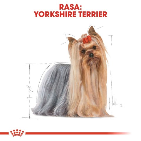 ROYAL CANIN BHN Yorkshire Terrier Adult - sucha karma dla psa dorosłego - 7,5 kg ROYAL CANIN BHN Yorkshire Terrier Adult - sucha karma dla psa dorosłego - 7,5 kg